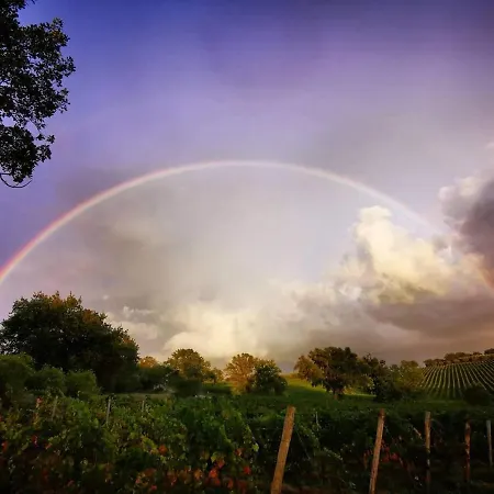 Farm stay Diaccialone Istia d'Ombrone